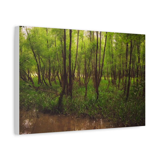 Ocmulgee Mounds National Historical Park Matte Canvas Wall Art