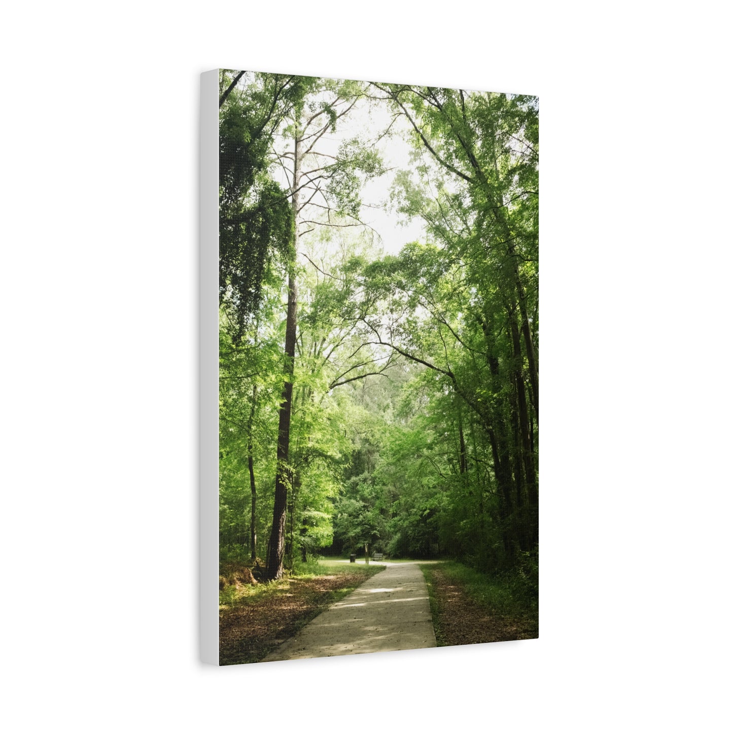 Amerson River Park Walkway Matte Canvas Print — Georgia Parks & Trails Collection