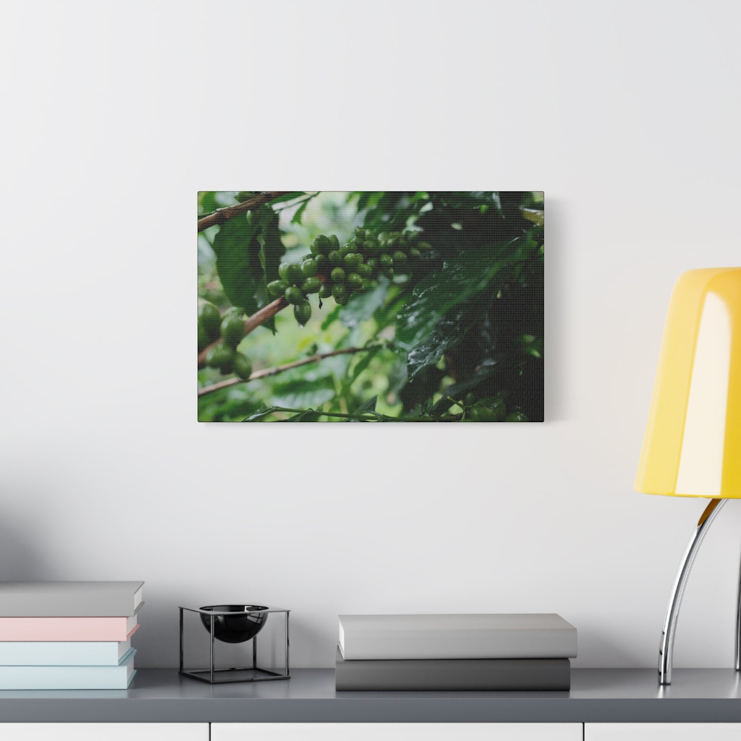 Costa Rican Coffee Bean Matte Canvas Print — Guanacaste Rainforest Wall Art
