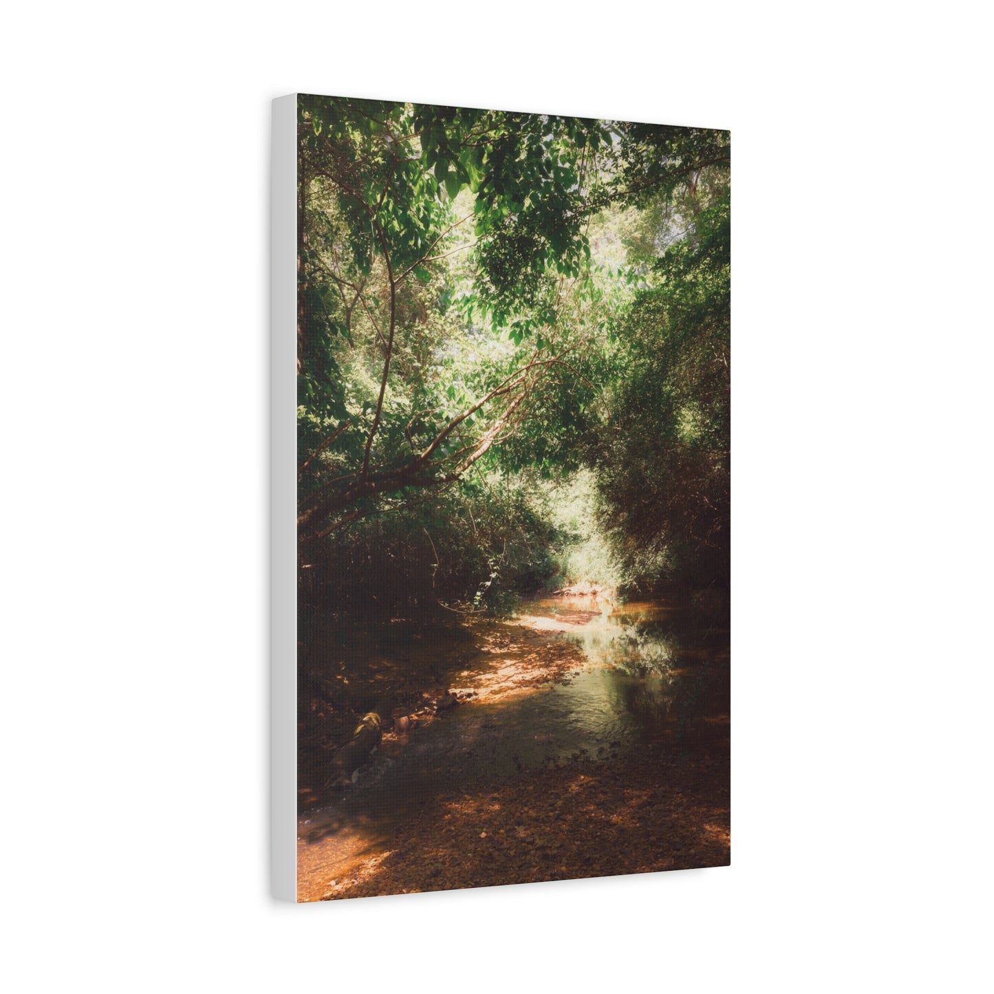 Georgia Creek Canvas Wall Art - Wesleyan College