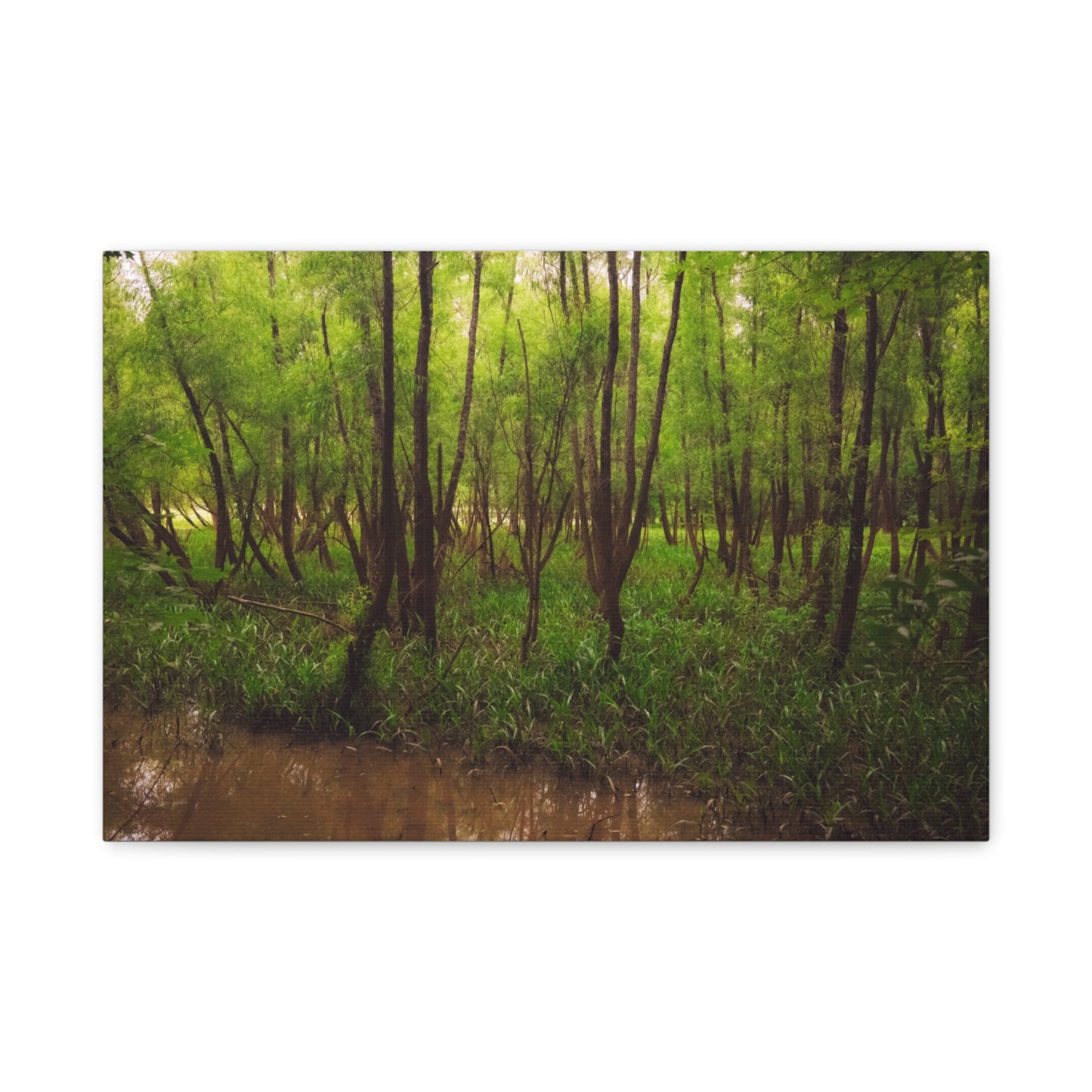 Ocmulgee Mounds National Historical Park Matte Canvas Wall Art