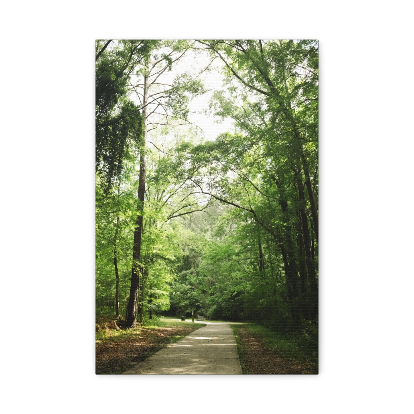 Amerson River Park Walkway Matte Canvas Print — Georgia Parks & Trails Collection