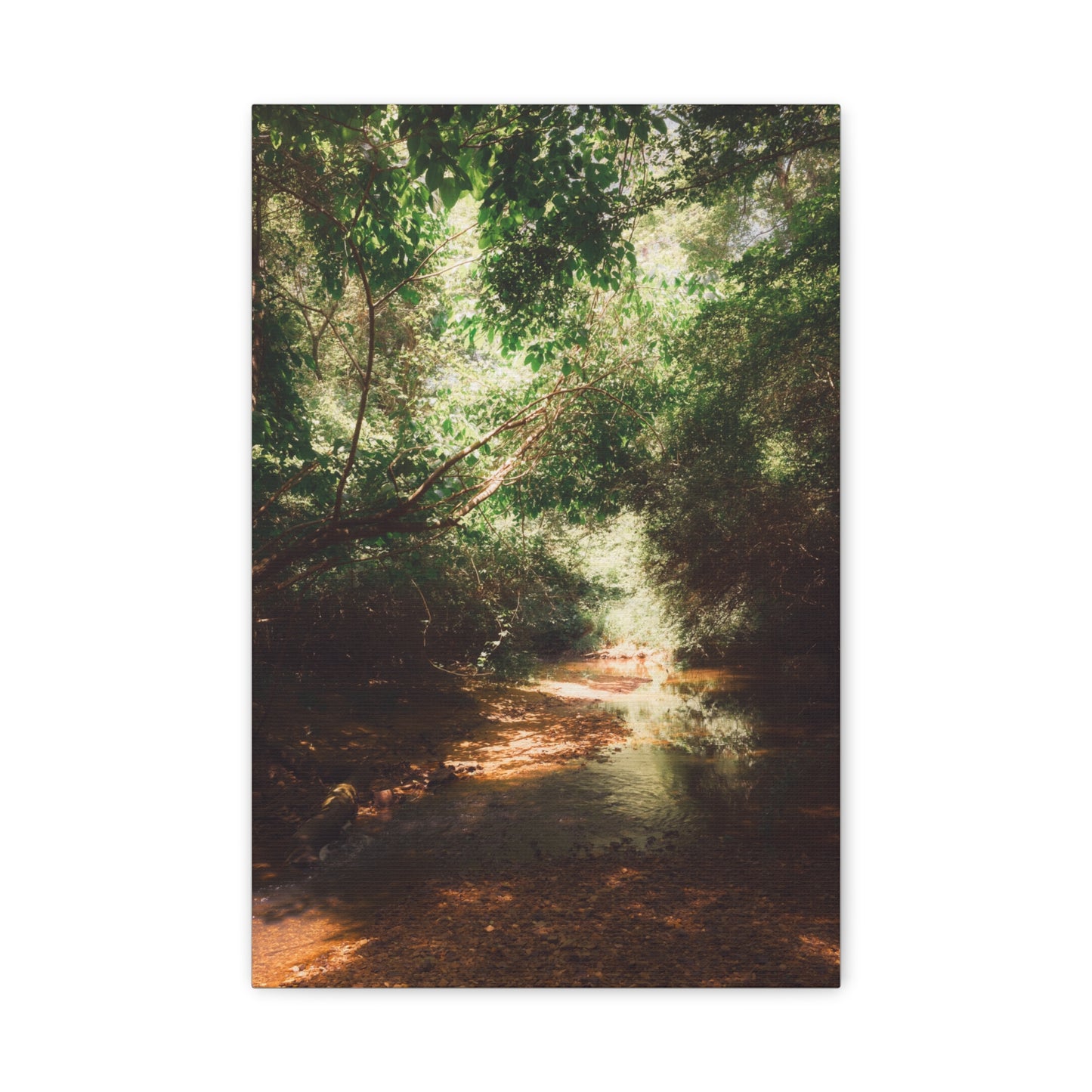 Georgia Creek Canvas Wall Art - Wesleyan College